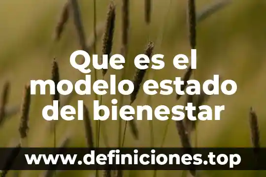 Que es el modelo estado del bienestar