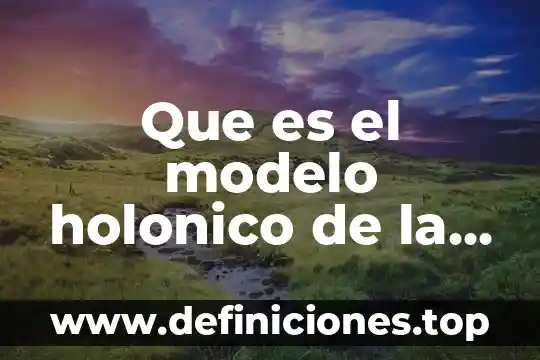 Que es el modelo holonico de la sexualidad humana