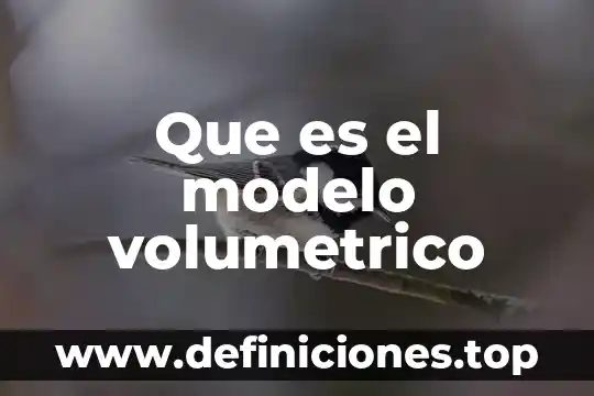 Que es el modelo volumetrico
