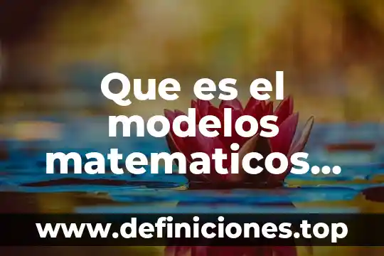 Que es un modelos hidraulicos 7 Que es el modelos matematicos en administracion