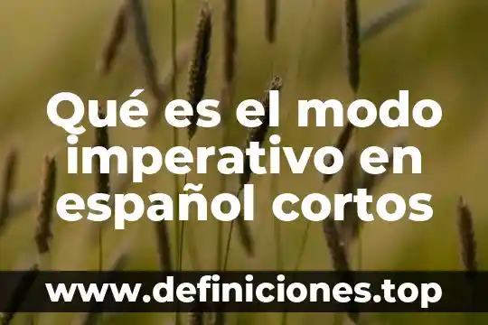 Adhesivos a base de resinas plásticas que es 4 Qué es el modo imperativo en español cortos