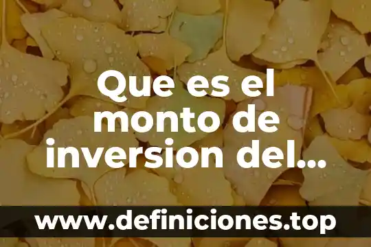 Que es arriendo en un proyecto 3 Que es el monto de inversion del proyecto