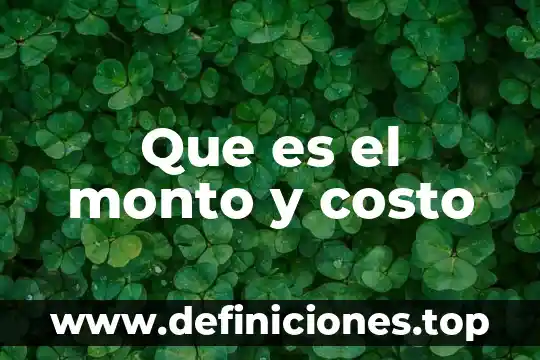 Que es el monto y costo