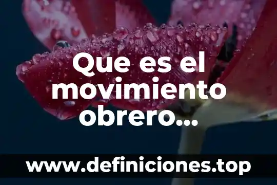 Qué es el movimiento consepto y dignificado 7 Que es el movimiento obrero argentino
