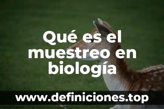 Que es el muestreo en matematicas 5 Qué es el muestreo en biología