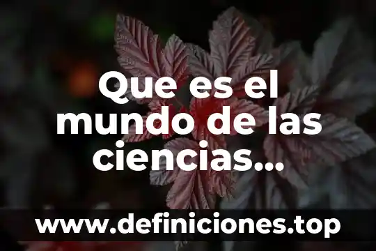 Que es el mundo de las ciencias sociales