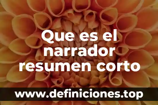 Que es el narrador resumen corto