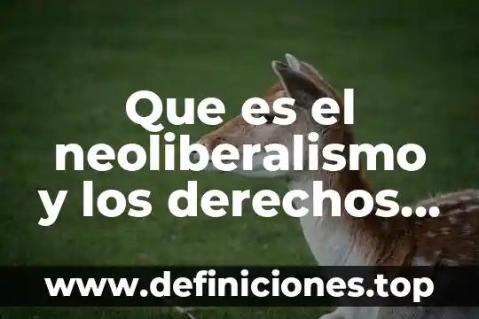 Unam and harvey neoliberalismo que es y como 3 Que es el neoliberalismo y los derechos humanos