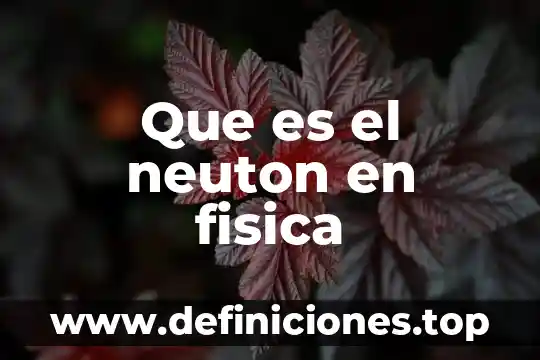 Que es la fisica letra cu 4 Que es el neuton en fisica