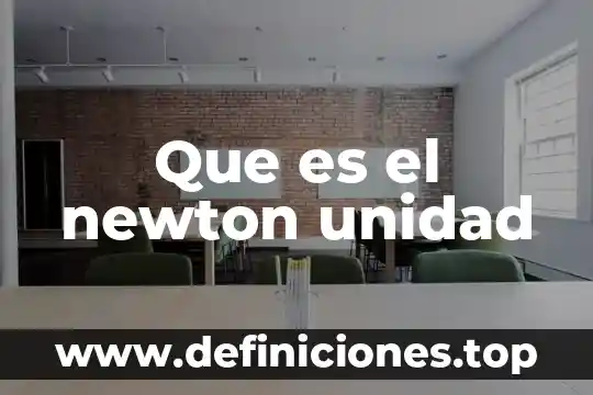 Que es la unidad perm 3 Que es el newton unidad