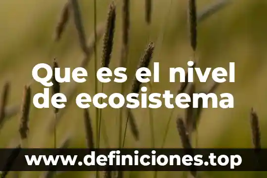 Que es la unidad principal computadora 6 Que es el nivel de ecosistema