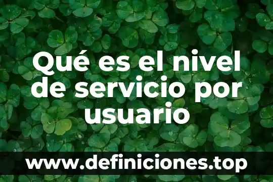 Qué es un diseño de interfaz de usuario 3 Qué es el nivel de servicio por usuario