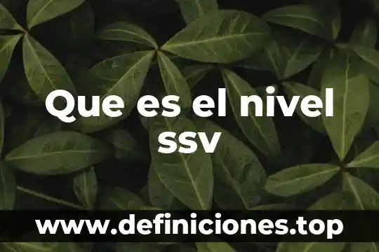 Qué es nivel de riesgo laboral 7 Que es el nivel ssv