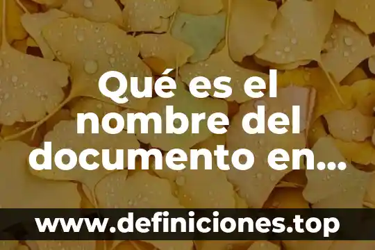 Que es un semillero de estudio 6 Qué es el nombre del documento en Paint