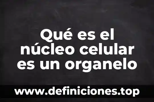 Que es el codigo mmi en mi celular 5 Qué es el núcleo celular es un organelo