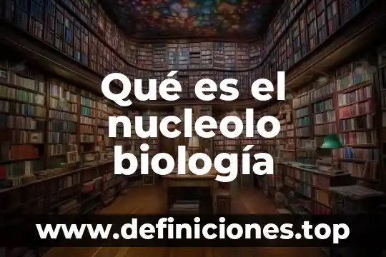 Que es economia en biologia 4 Qué es el nucleolo biología