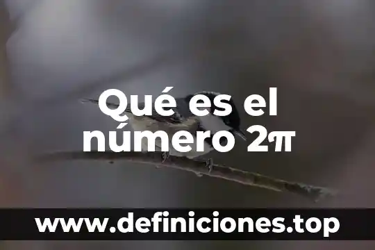 Qué es el número 2π
