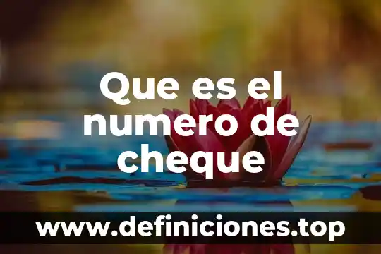 Que es el numero de cheque