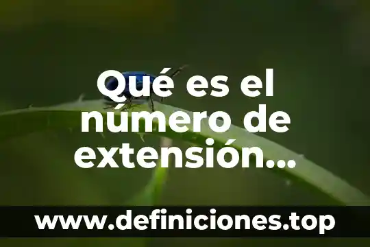Qué es el número de extensión teléfono