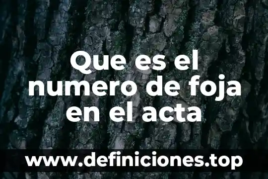 Qué es un acta de nacimiento en derecho 6 Que es el numero de foja en el acta