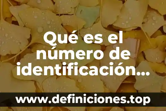 Qué es el número de identificación de un vehículo