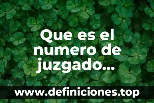 Que es el numero de juzgado estado de mexico