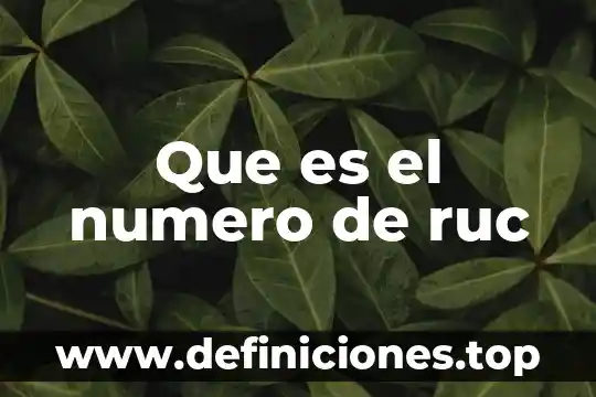 Que es el numero de ruc