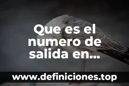 Que es el numero de salida en indriver