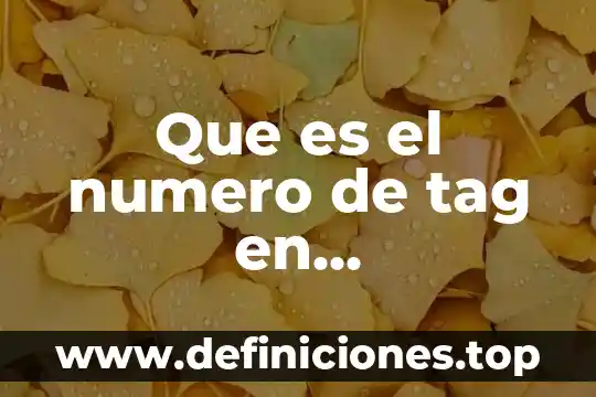 Que es un numero entero en access 4 Que es el numero de tag en mantenimiento