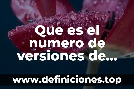 Que es el numero de versiones de un producto marketing