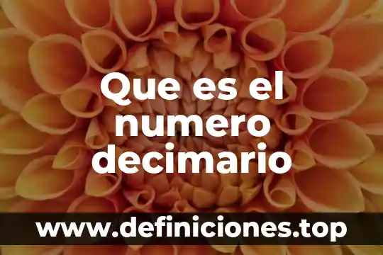 Que es el numero decimario