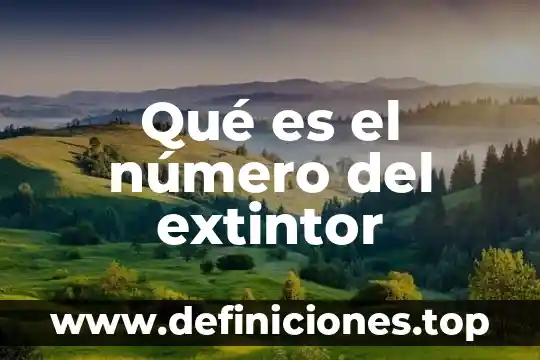 Qué es número de muestra 3 Qué es el número del extintor