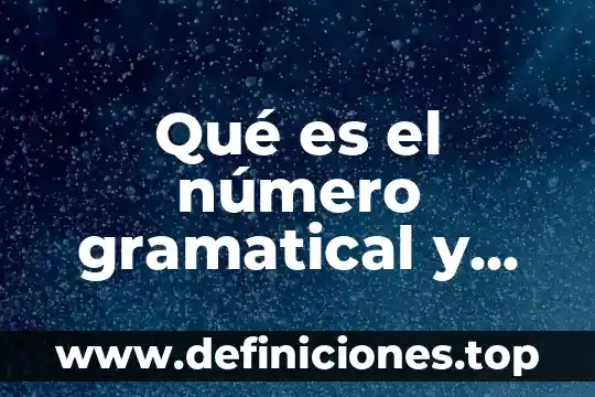 Qué es número de muestra 8 Qué es el número gramatical y cómo se aplica