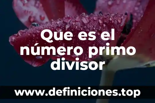 Que es el número primo divisor
