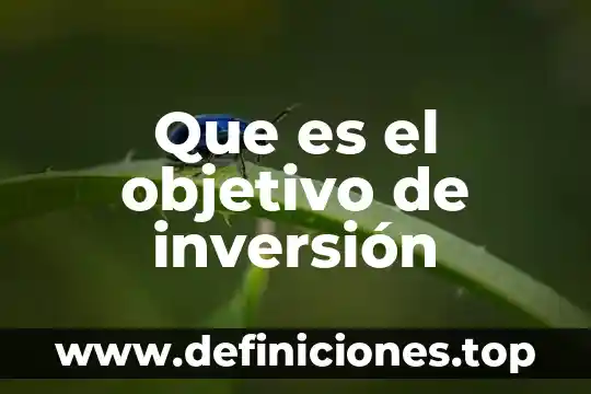 Que es el objetivo de inversión