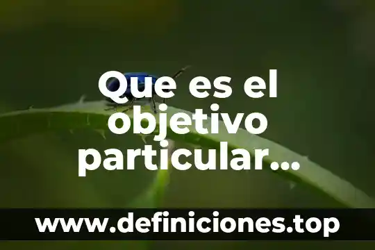 De lo general a lo particular que es 5 Que es el objetivo particular cuantitativo