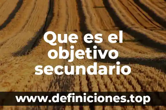 Que es un consumidor primario y secundario 8 Que es el objetivo secundario