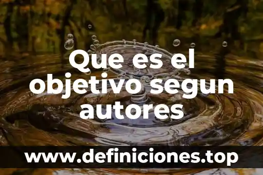 Que es el objetivo segun autores