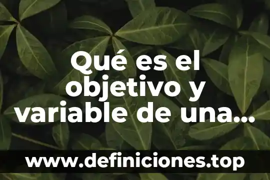 Qué es el objetivo y variable de una investigación