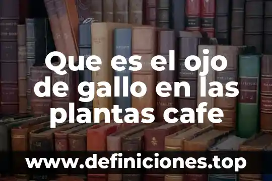 Que es el ojo de gallo en las plantas cafe