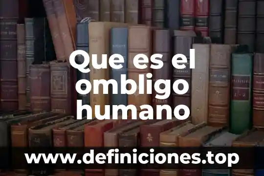 Que es el ombligo humano