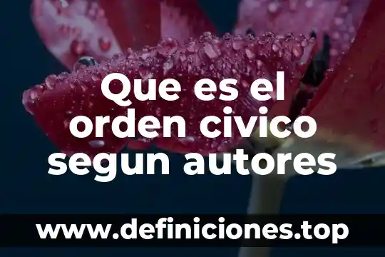 Que es el orden civico segun autores