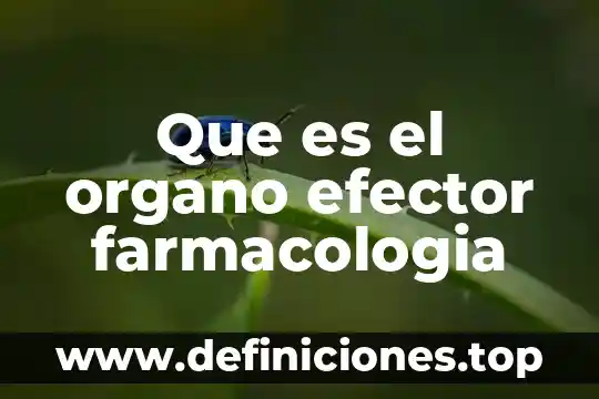 Que es el organo efector farmacologia