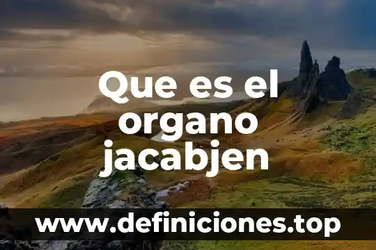 Órgano transitorio que es 3 Que es el organo jacabjen