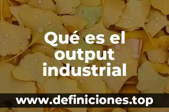 Que es y que significa nc en ingenieria industrial 7 Qué es el output industrial
