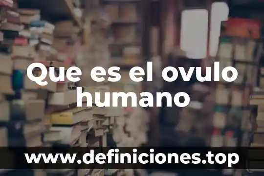 Que es el ovulo humano