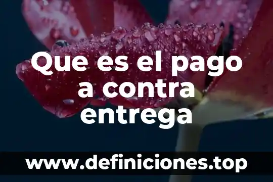 Que es pago que reciben los socios por invertir 7 Que es el pago a contra entrega