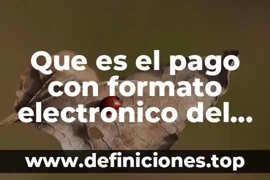 Que es programa ofimatico 8 Que es el pago con formato electronico del sat