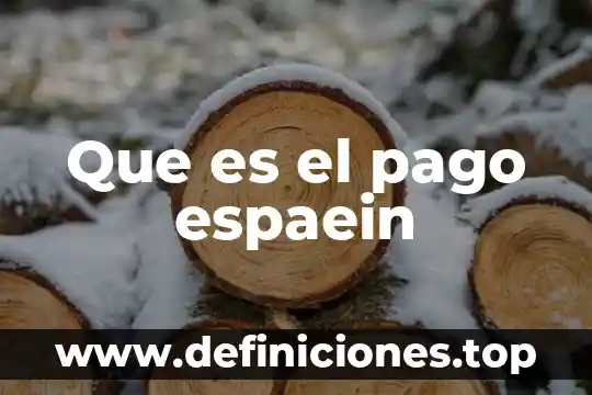 Que es un pago parcial 5 Que es el pago espaein