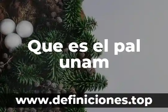 Que es el pal unam